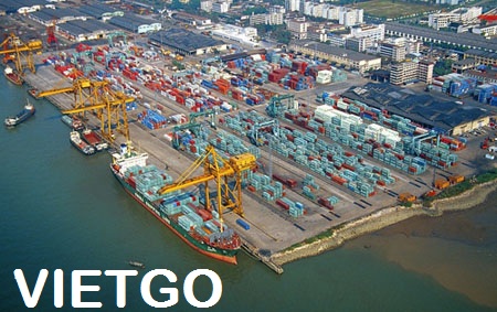 hạt điều việt nam